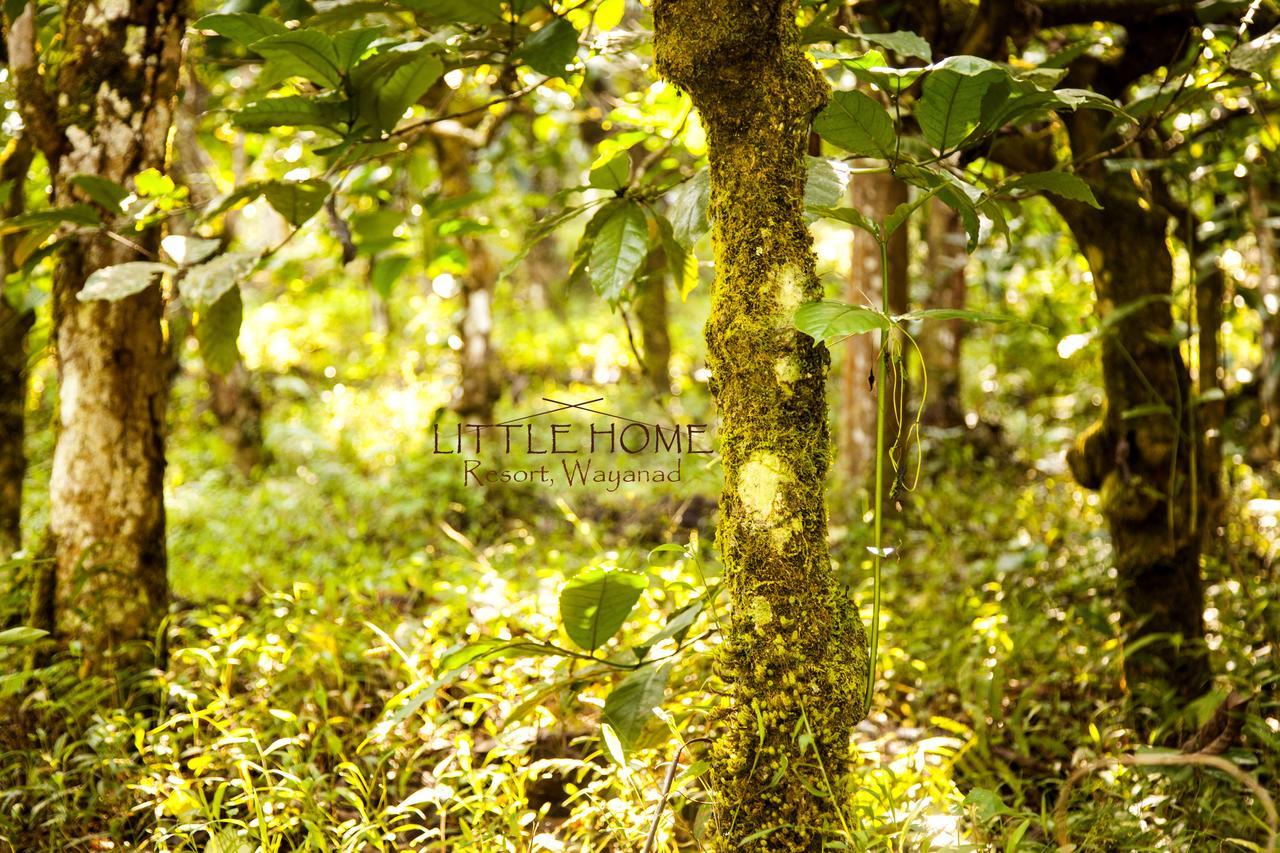 Little Home Resort Vythiri Exterior photo